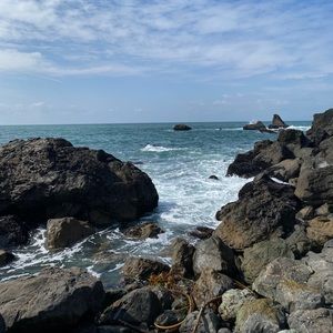 Meet your Posher, Yu shen